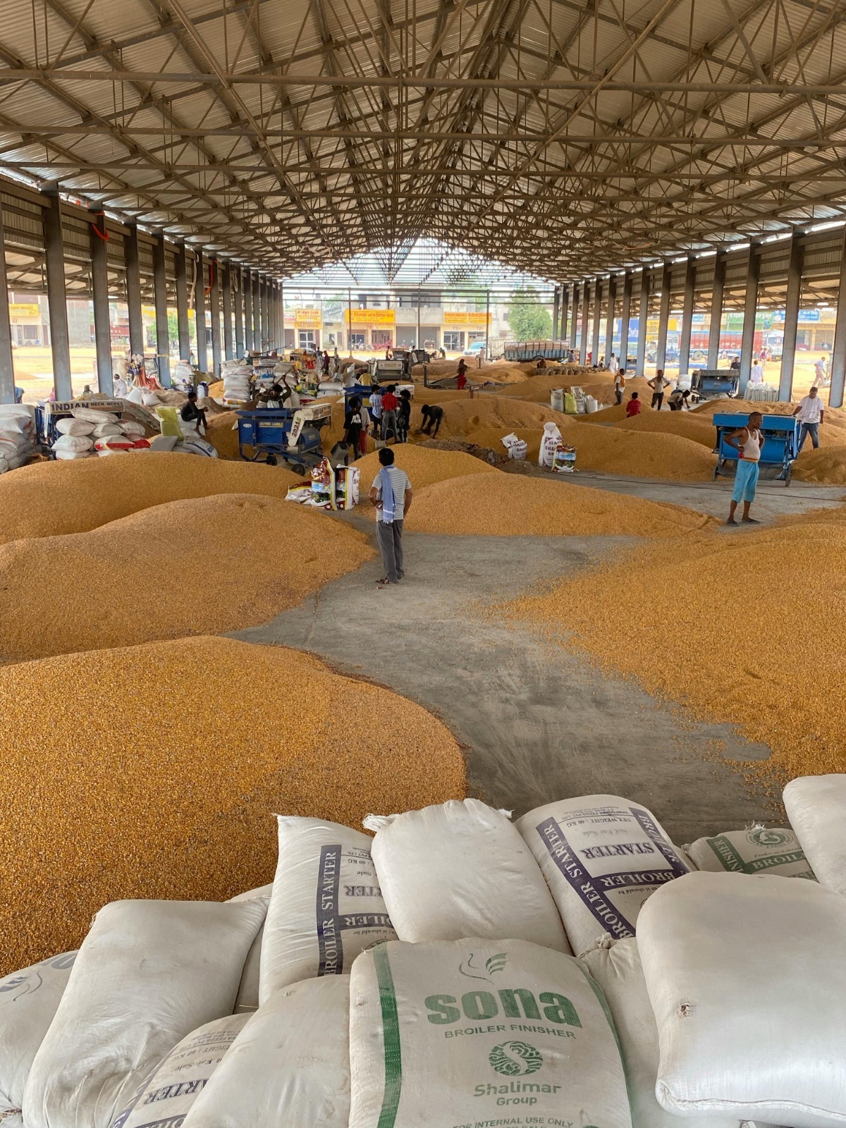 Bulk Rice Supply