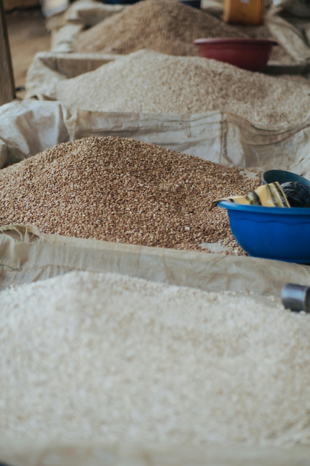 Rice Export