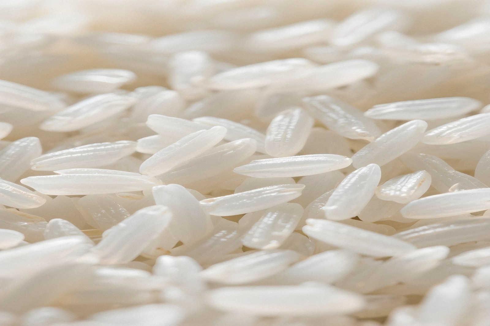 white rice